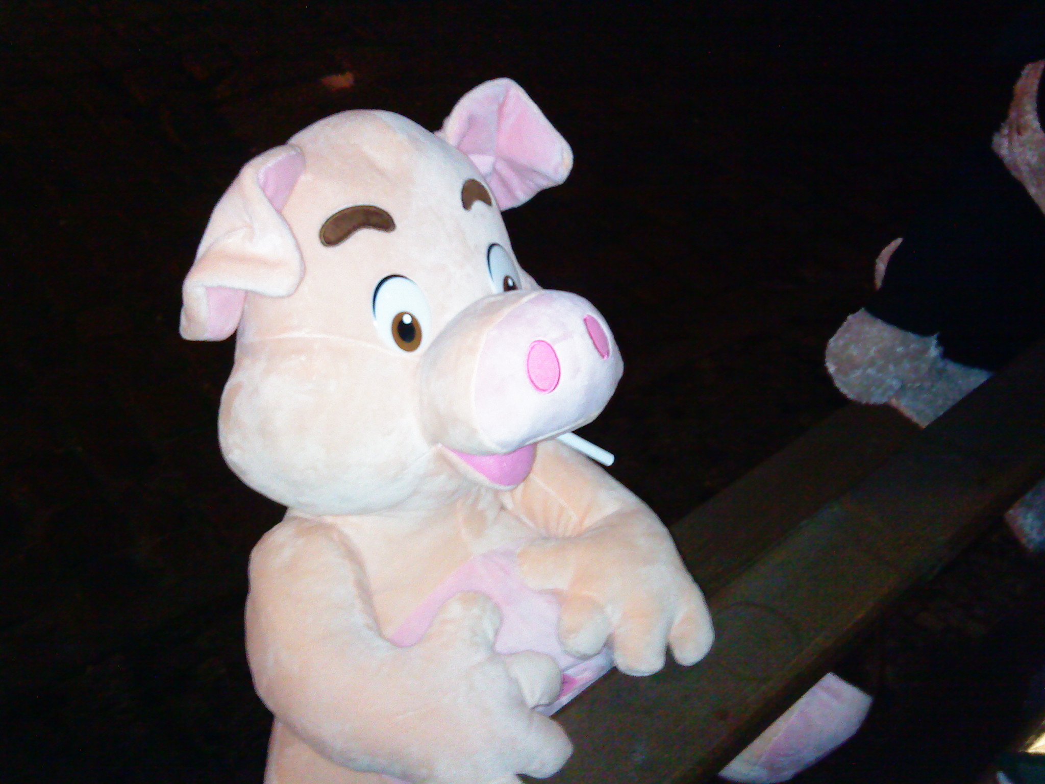 DSC00078.JPG